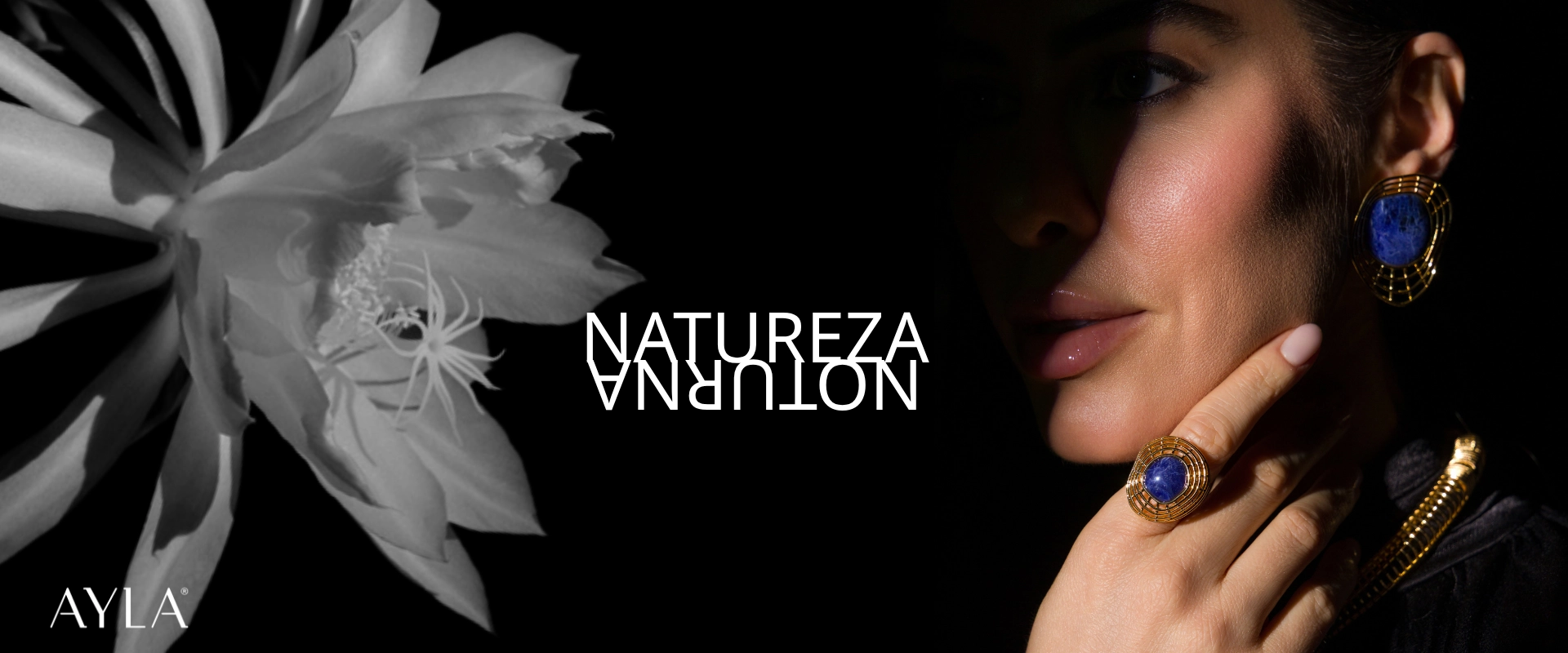 NATUREZA NOTURNA