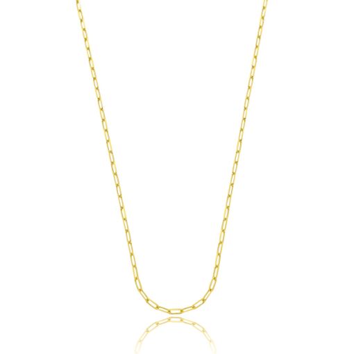 Corrente Cartie Banhada a Ouro 18k.