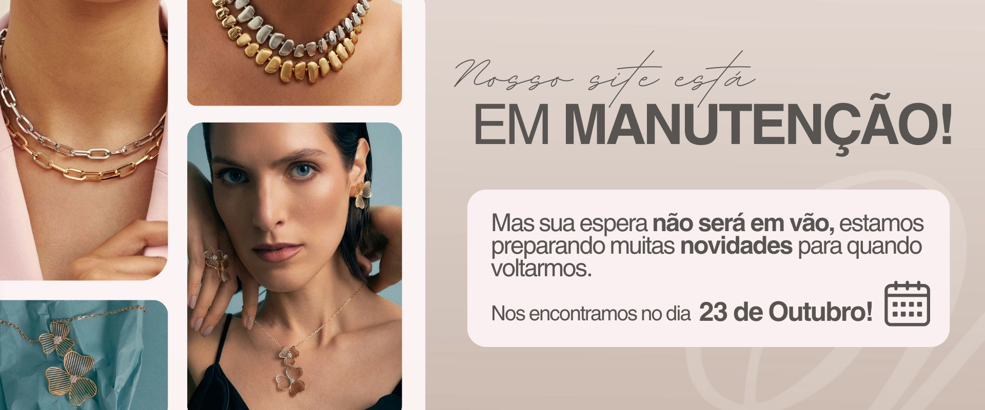 Aguarde...