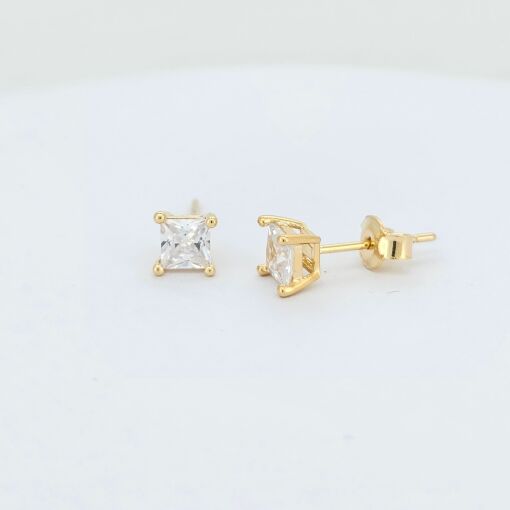 Brinco  Ponto de Luz