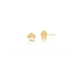 Conjunto Brinco e Corrente com Pingente Pet Banhado a Ouro