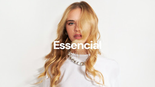 A atemporalidade da Linha Essencial