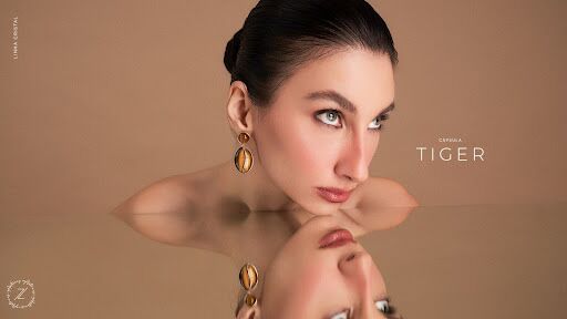 Olho de Tigre: pedra de destaque na Cápsula Tiger!