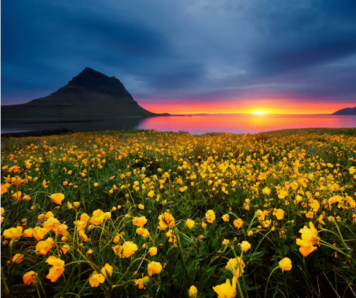 Joias minimalistas com design biofílico na Coleção Blóm