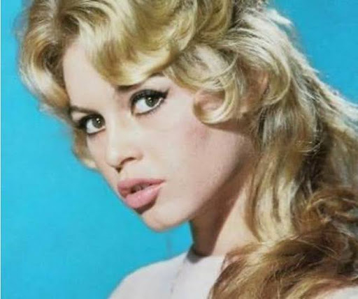 A Coleção Bardot e as peças "delineadas" com zircônias