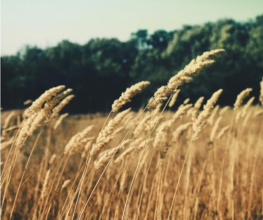 Coleção Vent: a força do vento representada em semijoias