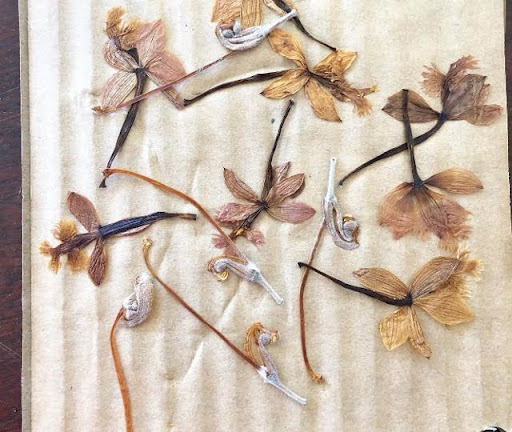 Coleção Vent: a força do vento representada em semijoias