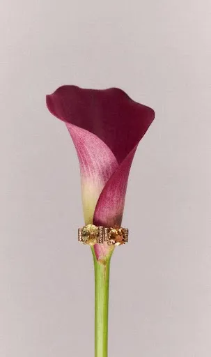 Coleção Luce: A Presença dos Cristais Citrino e Âmbar