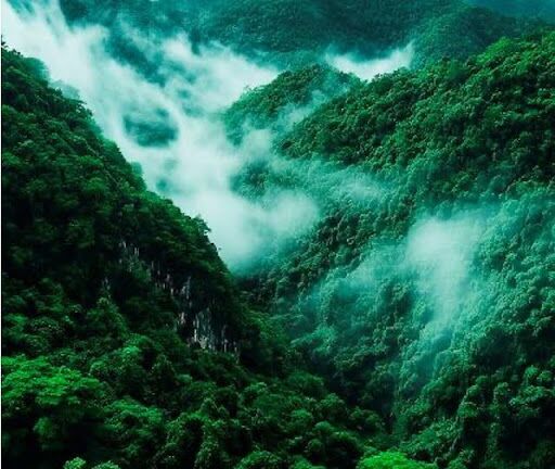 Coleção Alba: joias esmaltadas com flores brancas