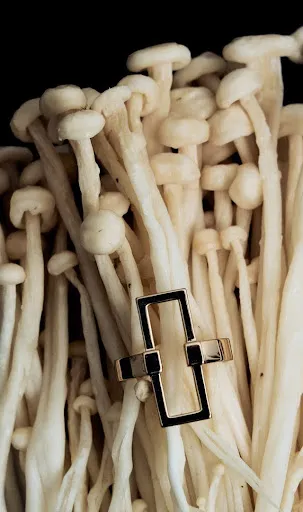 Coleção Lien: linhas geométricas em destaque