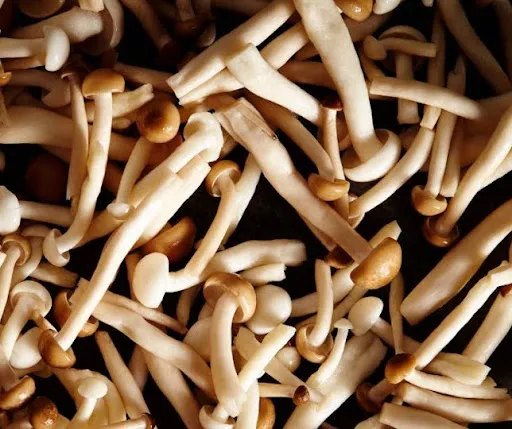 Coleção Lien: linhas geométricas em destaque