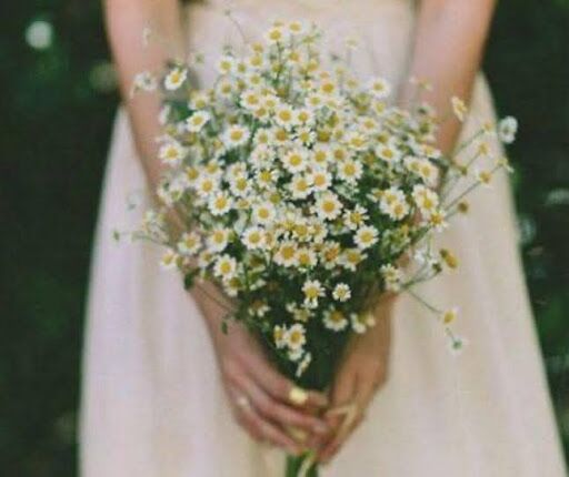 Joias com pérolas na Coleção Greta da Zarpellon!