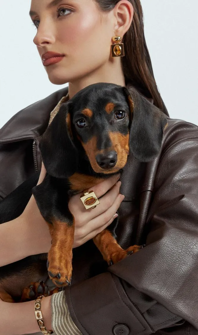 Coleção Viva: Brilho em todo cristal