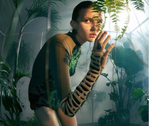 Coleção Ivy: inspirada na planta sagrada hera