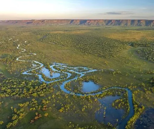 Coleção Veredas: a beleza infinita das joias