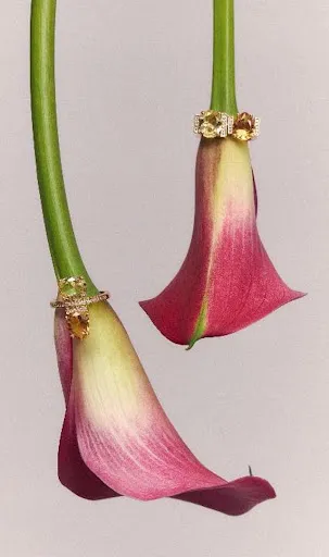 Coleção Luce: A Presença dos Cristais Citrino e Âmbar