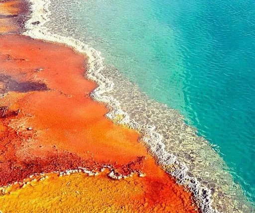 Coleção Tropicália: cristais e brasilidade