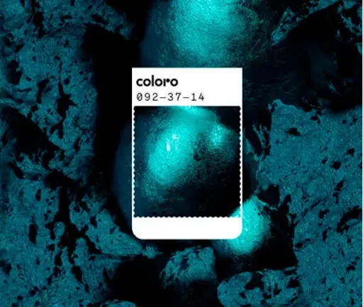 Coleção Araúna: uma ode à beleza dos rios e lagoas