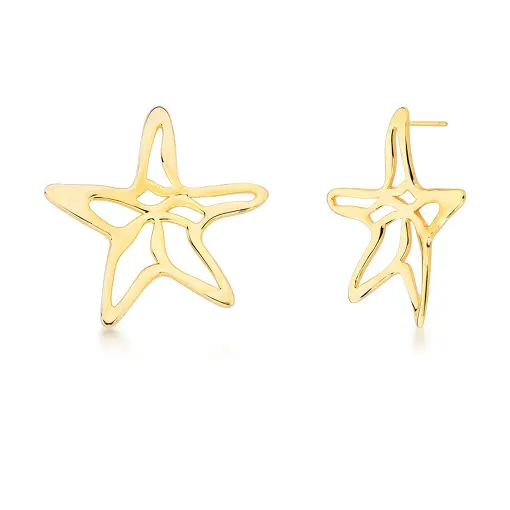 BRINCO ESTRELA DO MAR VAZADO CURVO