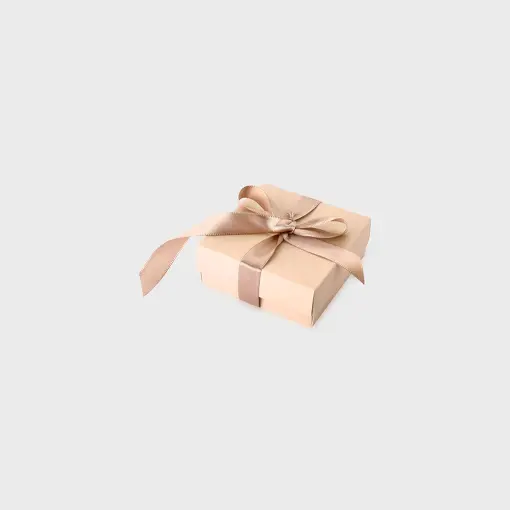 EMBALAGEM DE PAPEL PARA CONJUNTO COM 10 UNIDADES