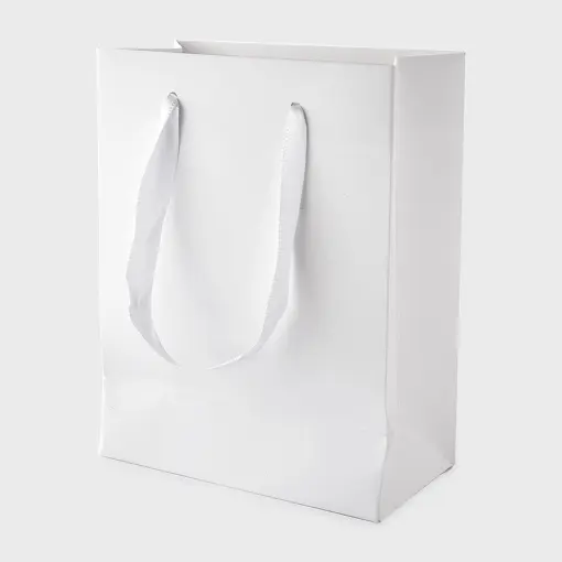 SACOLA BRANCA COM 10 UNIDADES 21X26X11CM