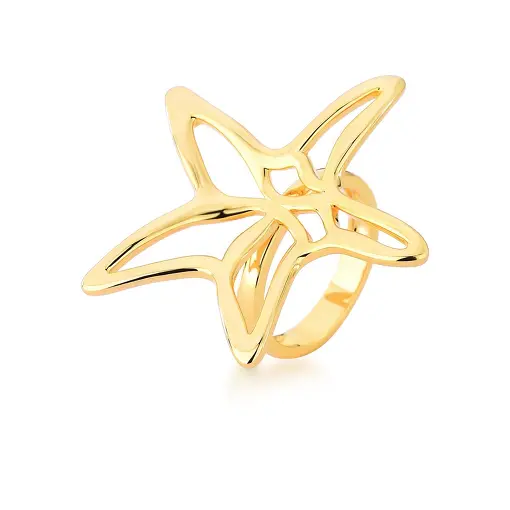 ANEL ESTRELA DO MAR VAZADO CURVO