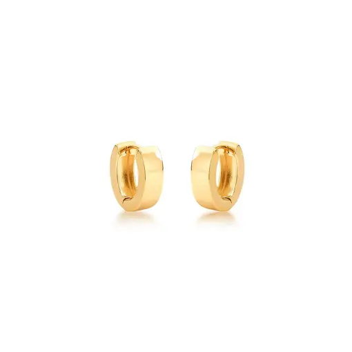 ARGOLA OVAL LISA BANHADA A OURO