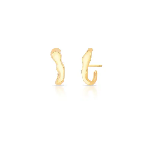 BRINCO EAR HOOK LISO CURVO