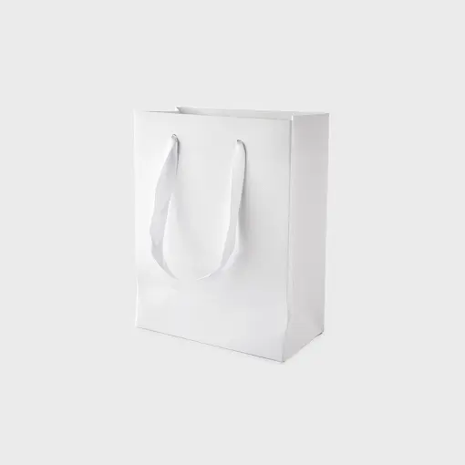 SACOLA BRANCA COM 10 UNIDADES  11.5X15X6CM