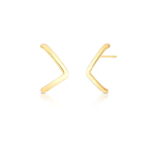 BRINCO EAR HOOK LISO CURVO