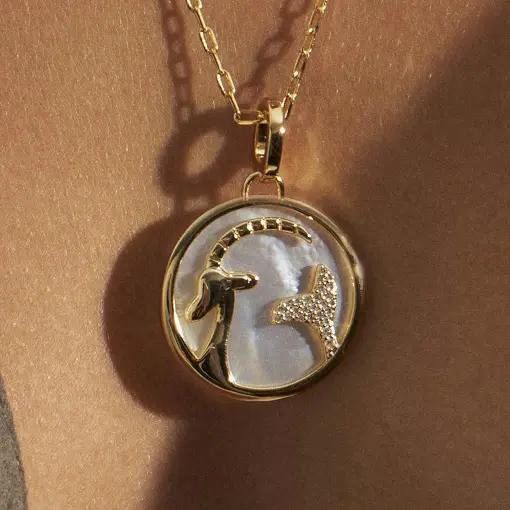 COLAR COM PINGENTE SIGNO CAPRICÓRNIO EM MADREPÉROLA E ZIRCÔNIA
