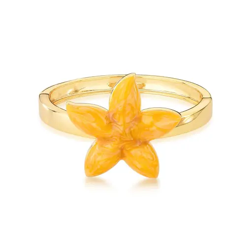 BRACELETE COM ESTRELA ESMALTADO LISO